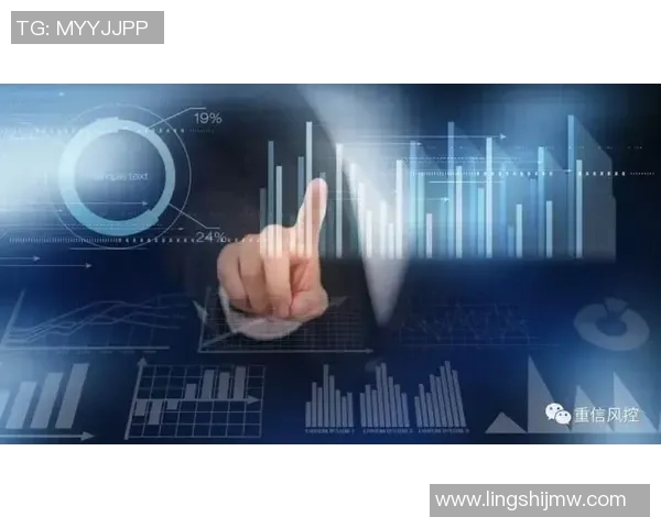 深入探讨上海羽毛球队技术表现的数据分析与提升策略