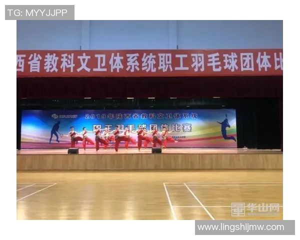 西安羽毛球队的控制策略与发展趋势深度解析